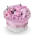 Box růžových pivoněk
